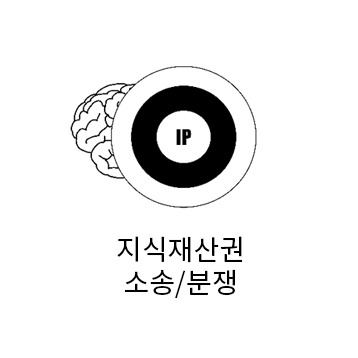 지식재산권 소송/분쟁